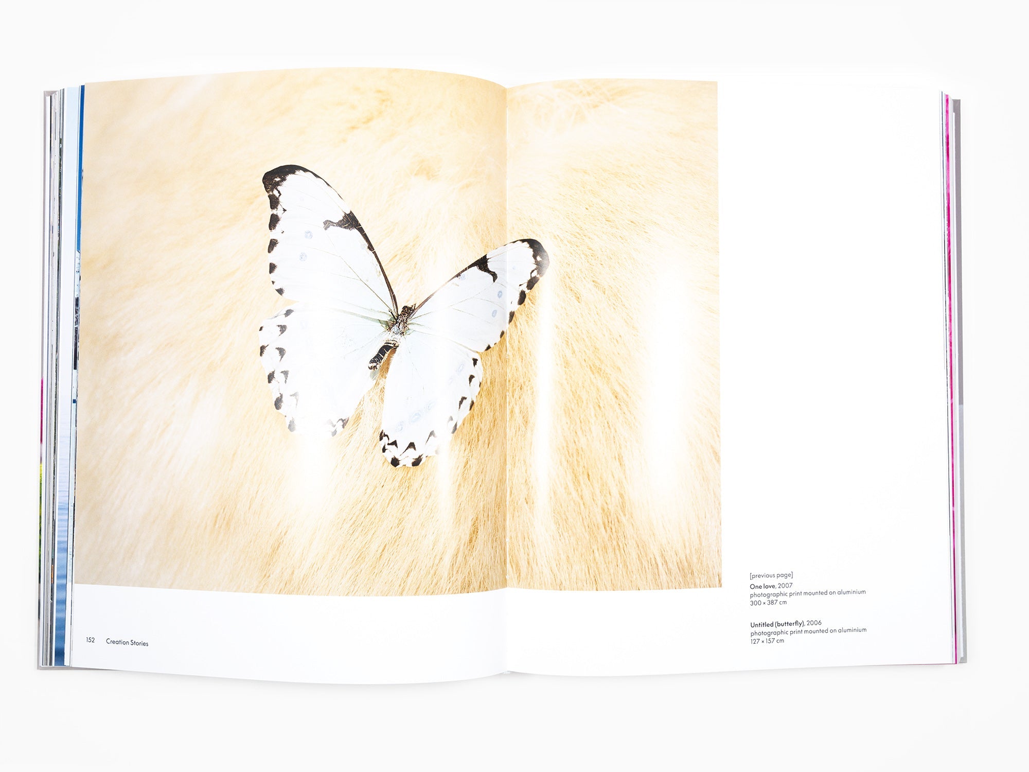 Paola Pivi - Monograph (Phaidon)