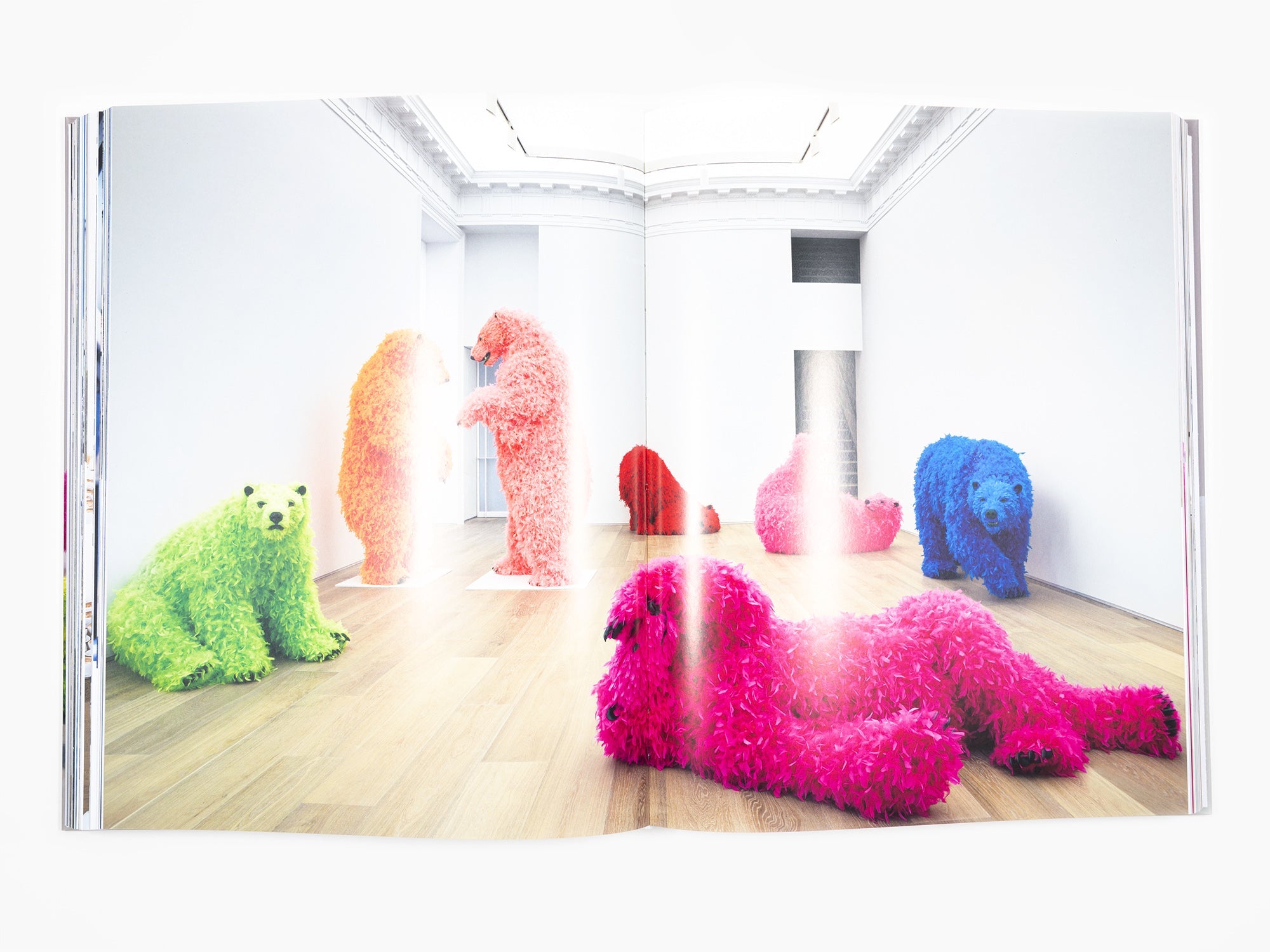 Paola Pivi - Monograph (Phaidon)