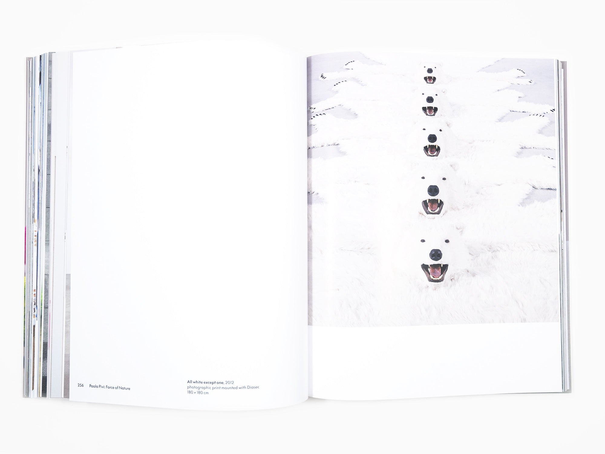 Paola Pivi - Monograph (Phaidon)