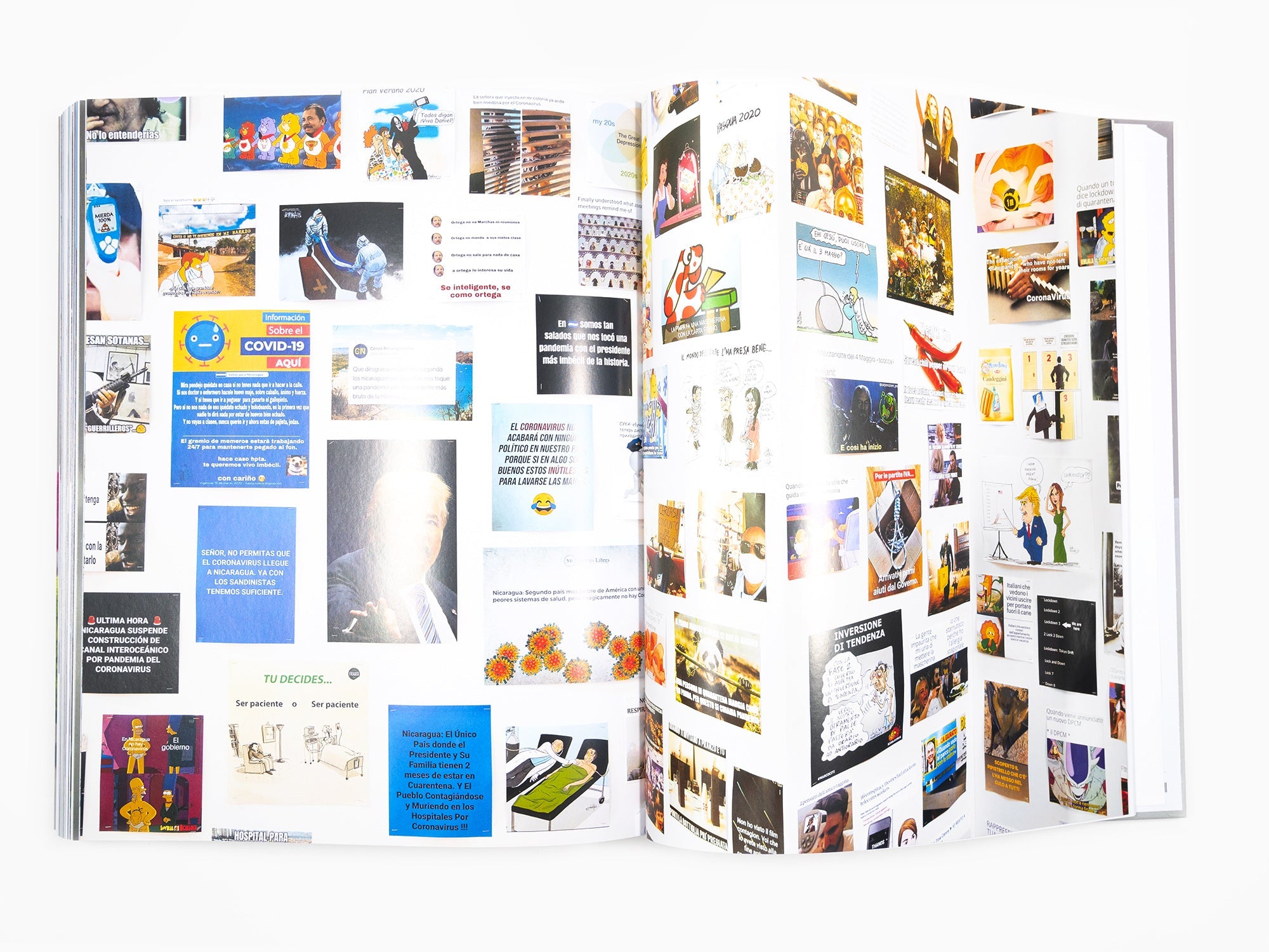 Paola Pivi - Monograph (Phaidon)