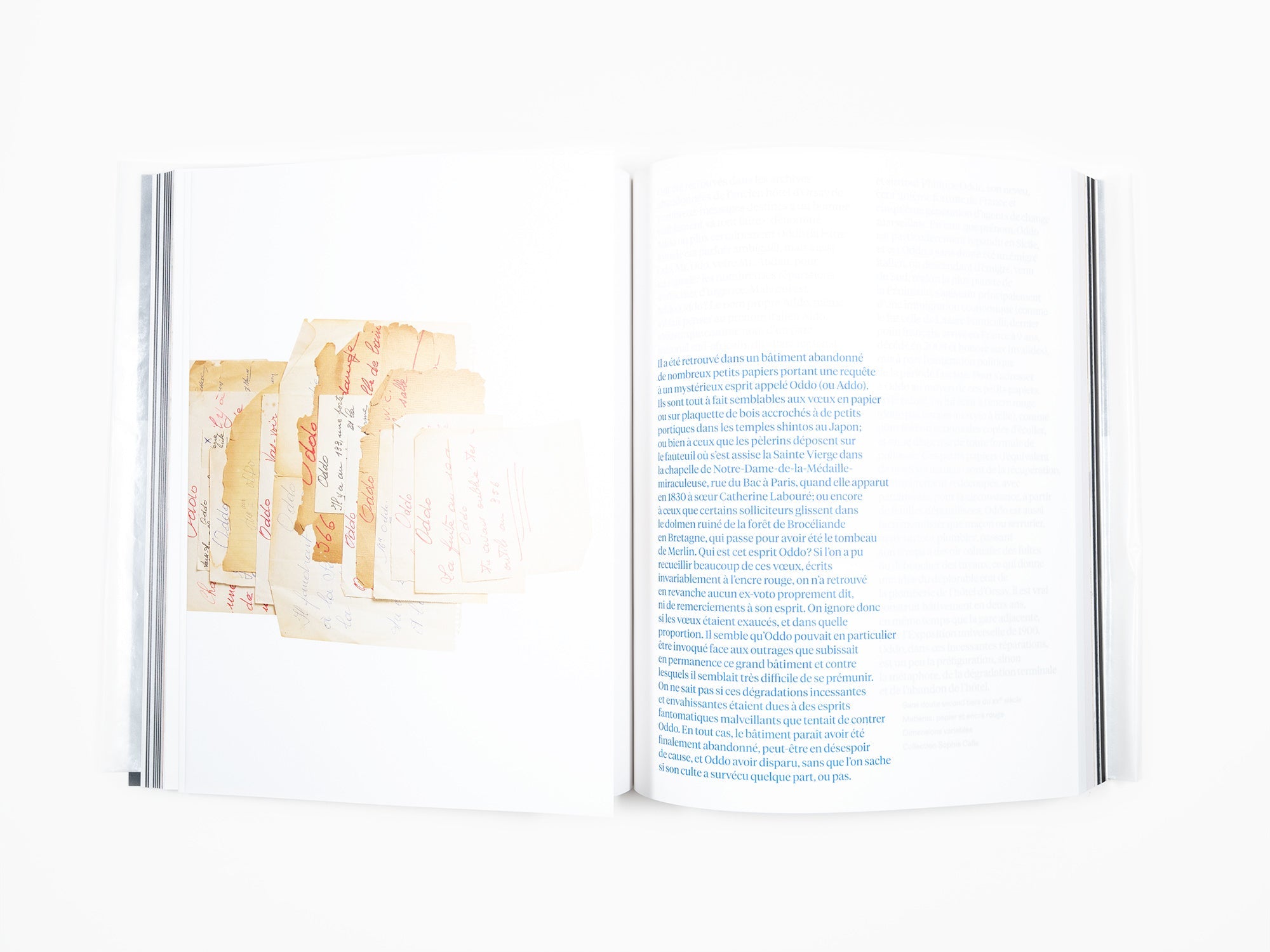 Sophie Calle / Jean-Paul Demoule - L'ascenseur occupe la 501