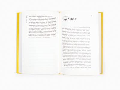 Matthew Israel - A Year in the Art World