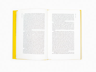 Matthew Israel - A Year in the Art World