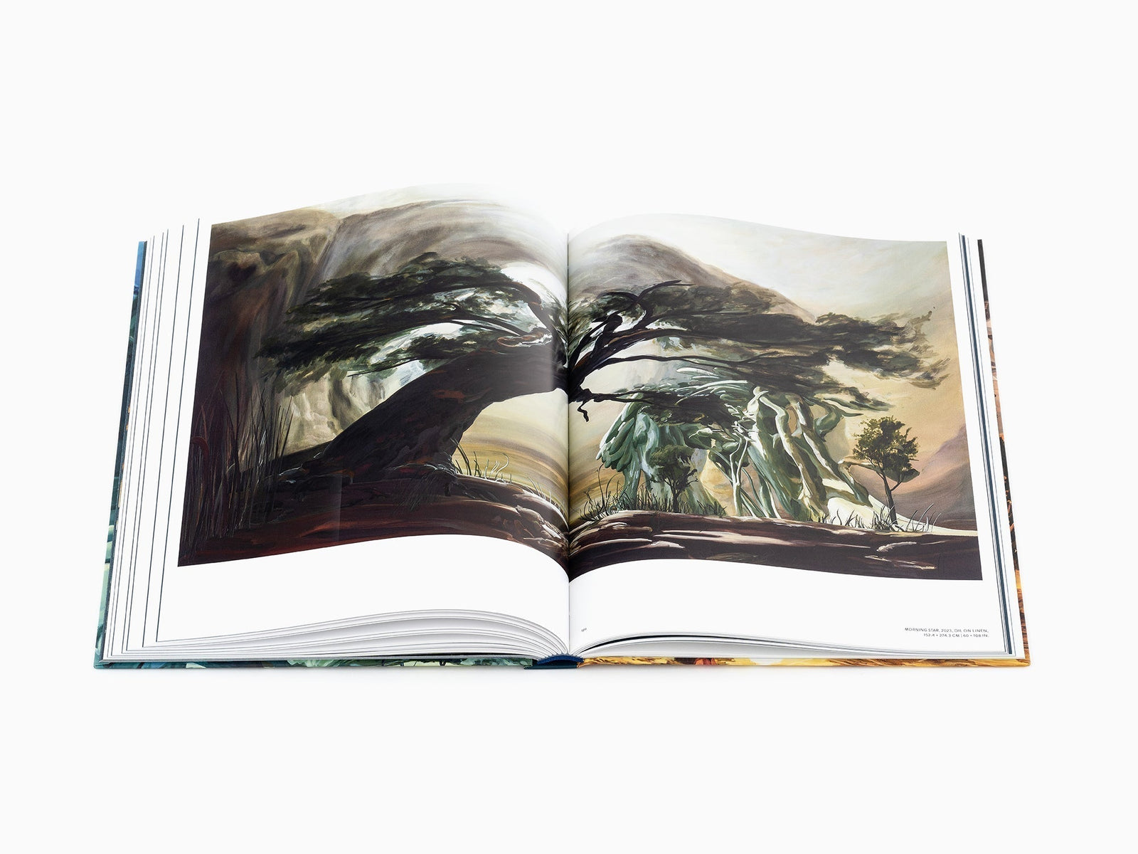 Illustration of a contemporary art monograph.
