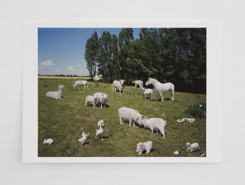 Paola Pivi - One love