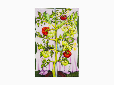 Nikki Maloof - Tomato Plant