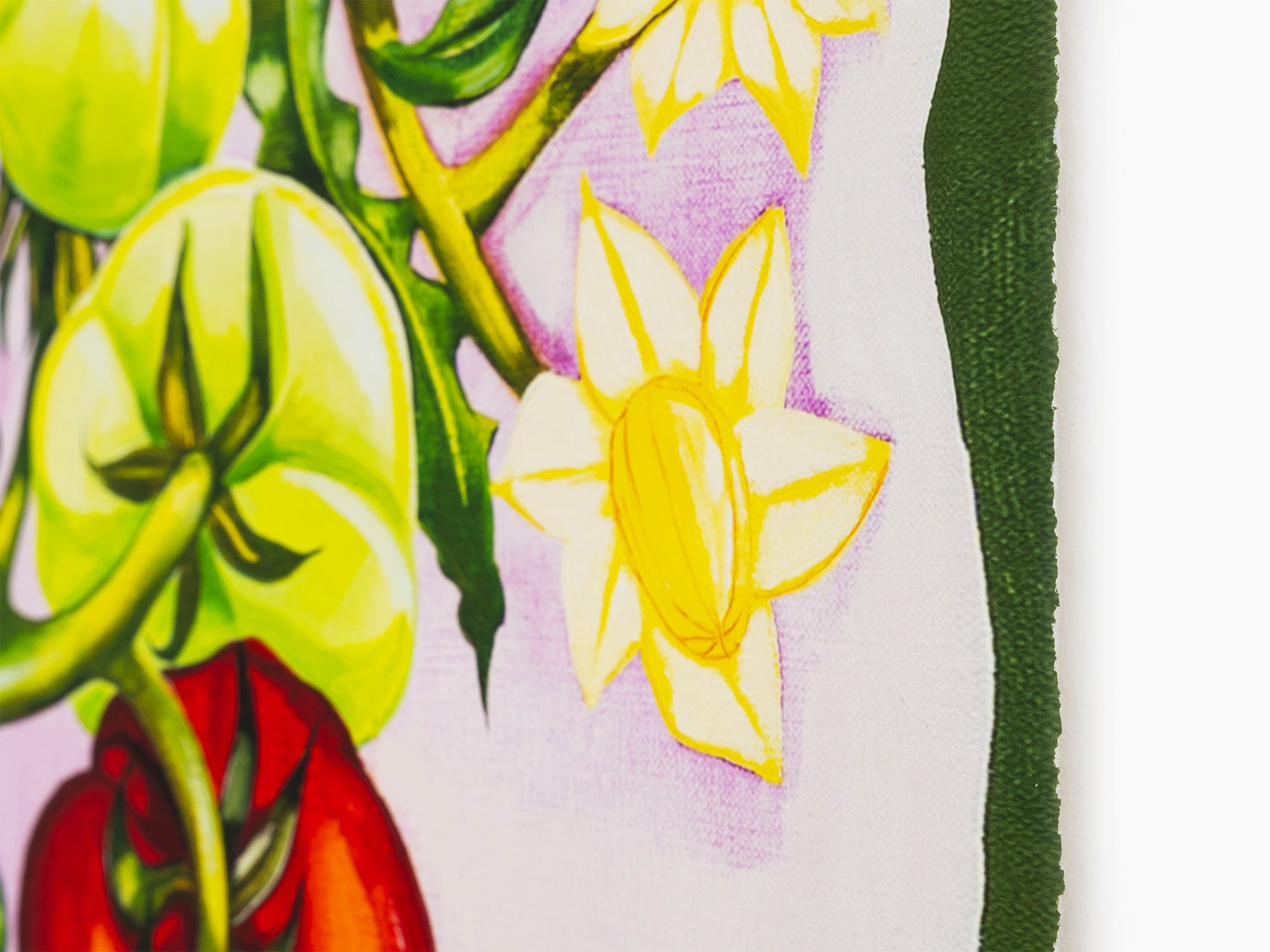 Nikki Maloof - Tomato Plant