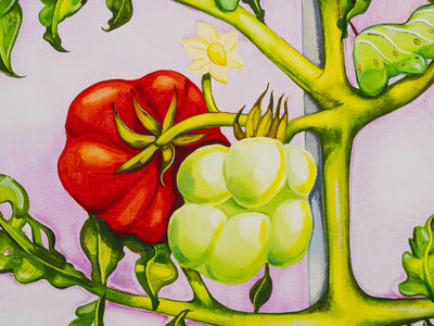 Nikki Maloof - Tomato Plant