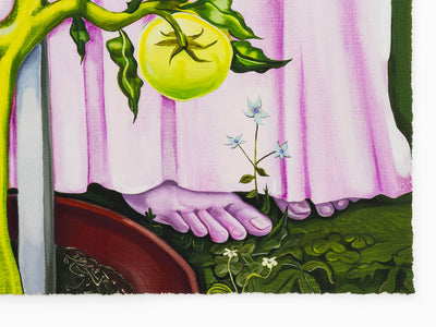 Nikki Maloof - Tomato Plant