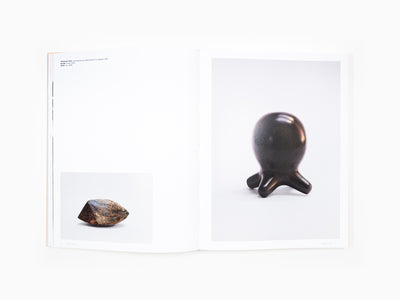 Alma Allen - Rizzoli Monograph