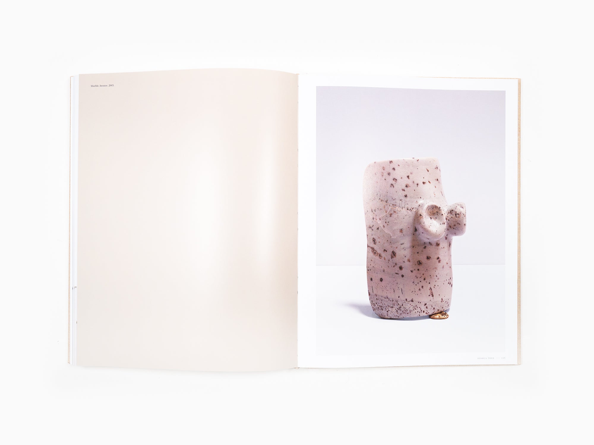 Alma Allen - Rizzoli Monograph