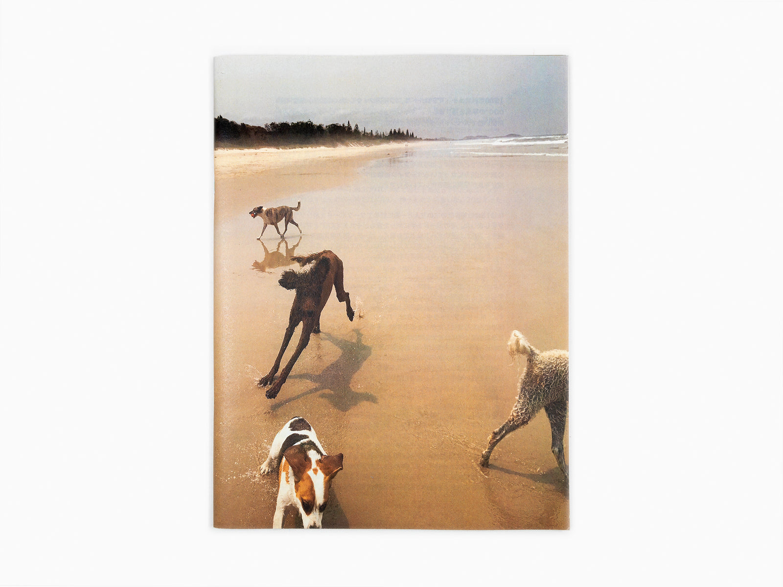 Andrew Kidman - Dog Zine