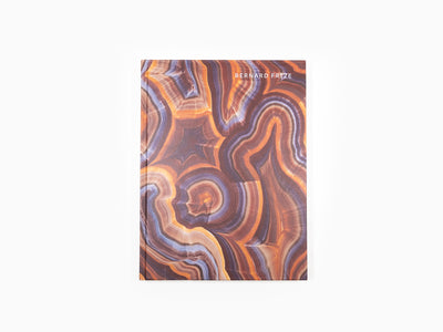 Bernard FRIZE - Monographie Perrotin