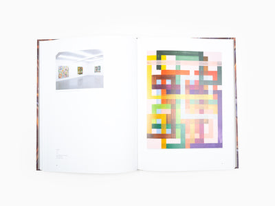 Bernard FRIZE - Monographie Perrotin