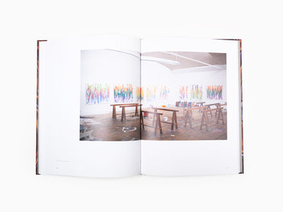 Bernard FRIZE - Monographie Perrotin