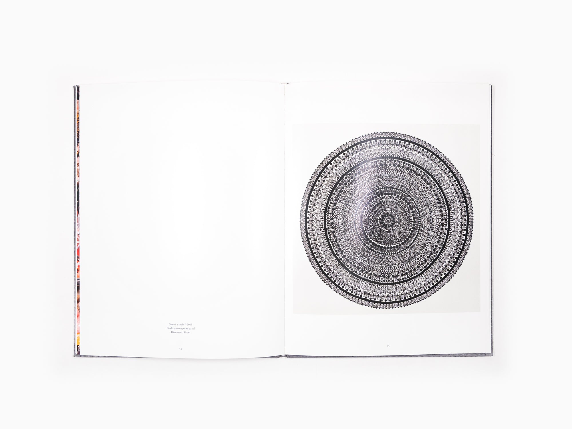 Bharti Kher - Anomalies