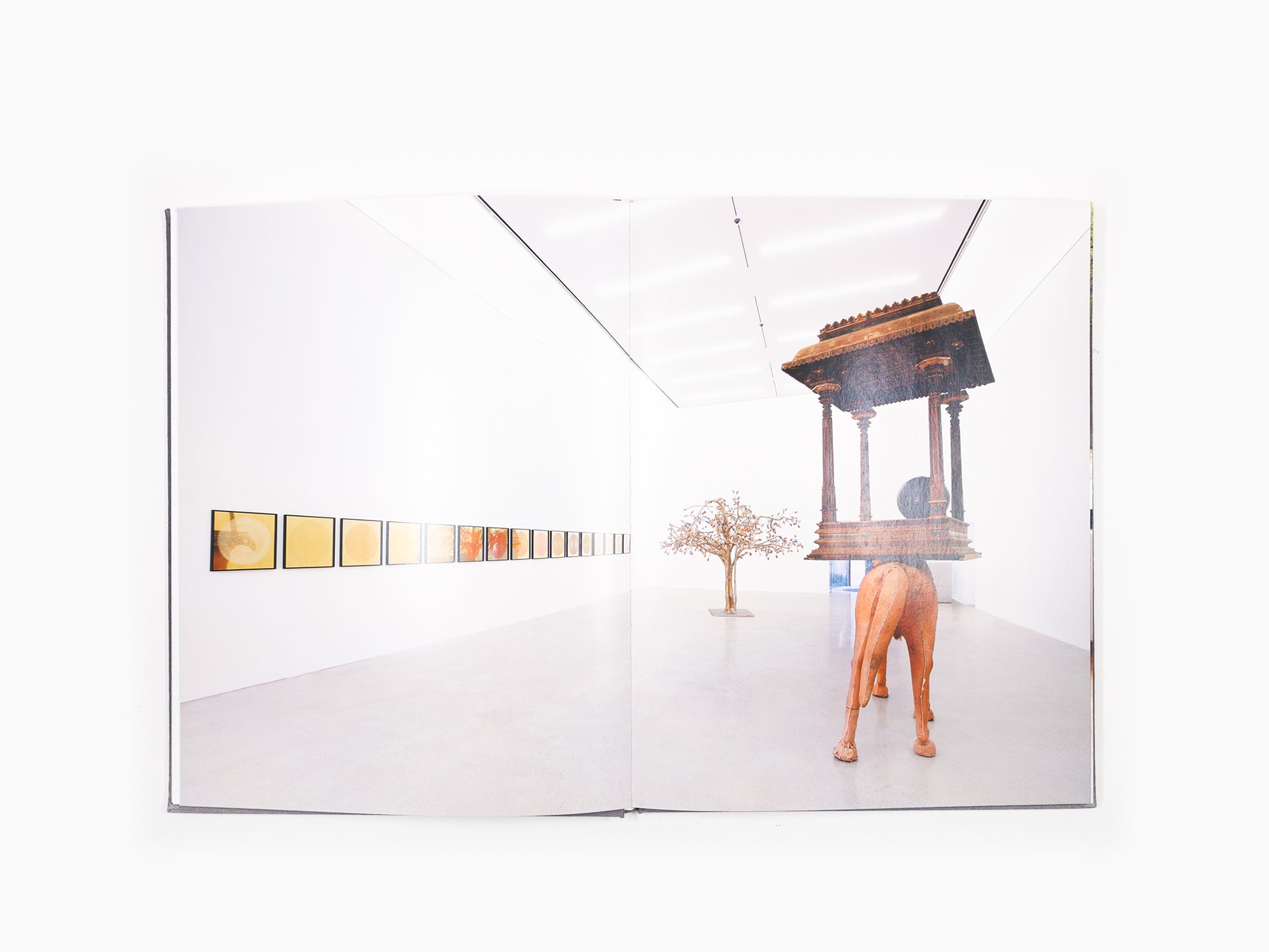 Bharti Kher - Anomalies