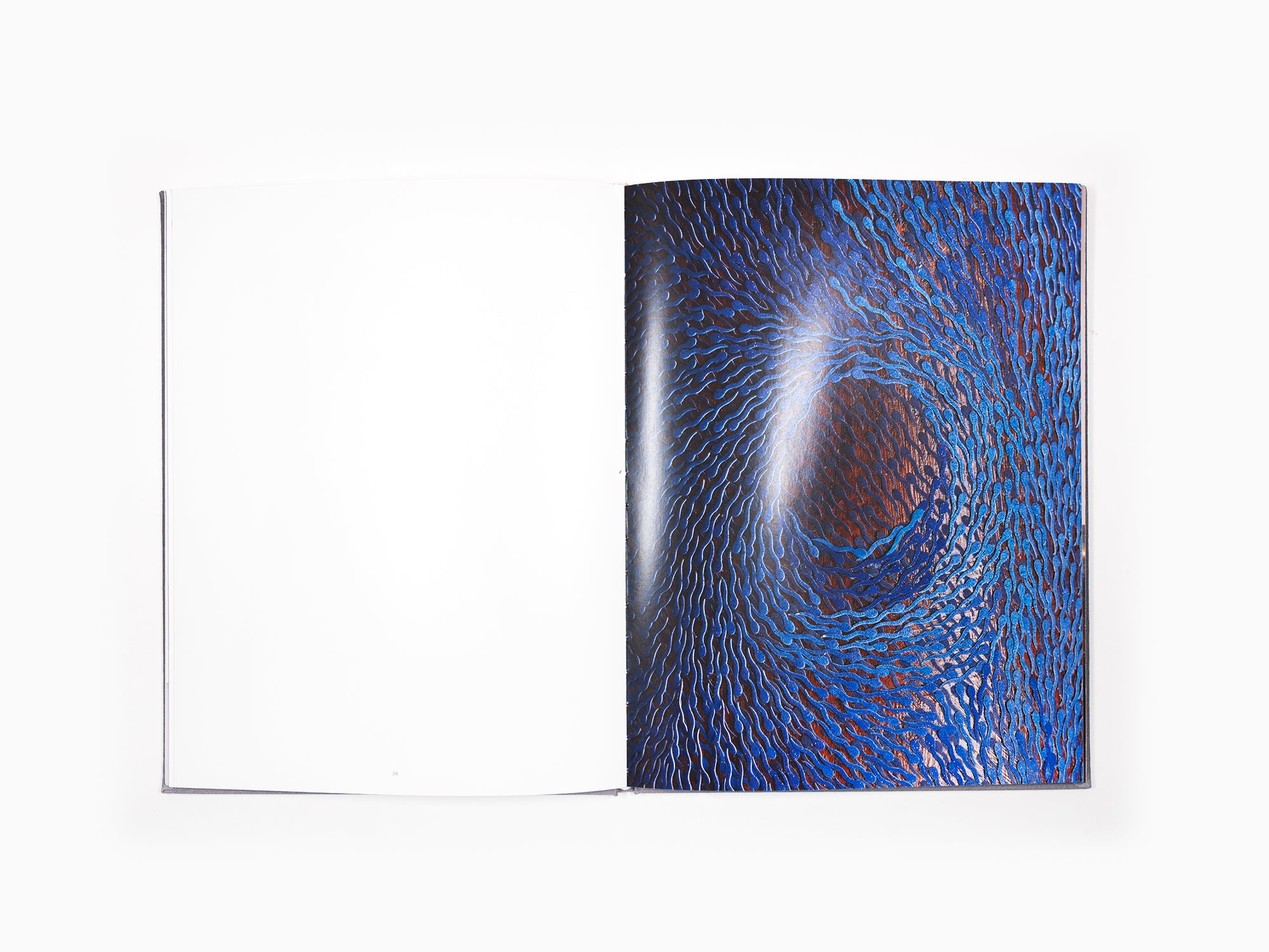 Bharti Kher - Anomalies
