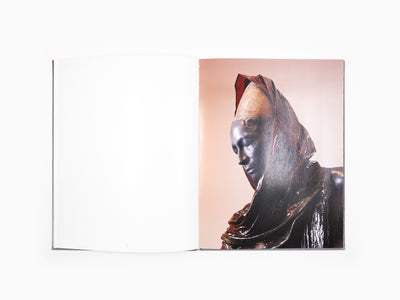 Bharti Kher - Anomalies