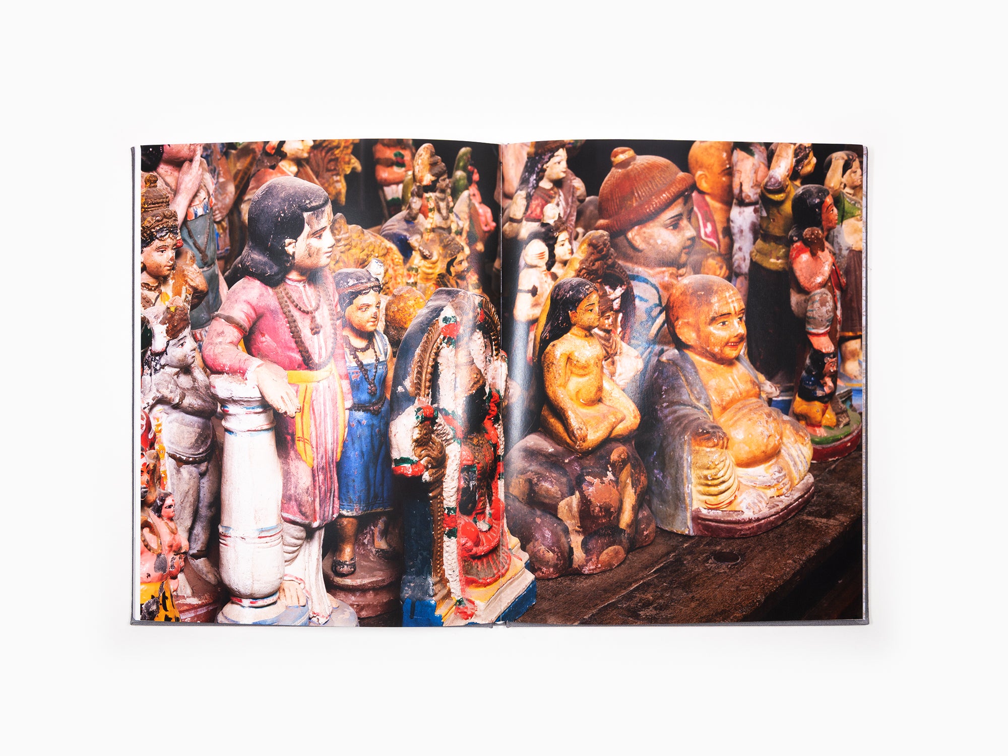 Bharti Kher - Anomalies