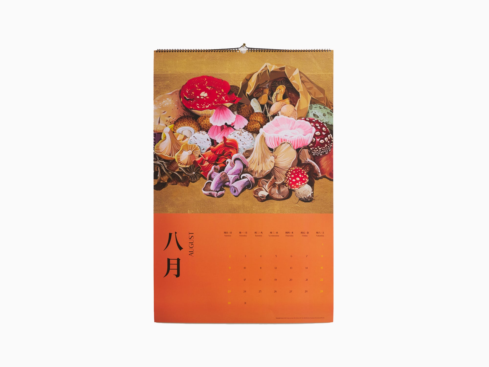 Chen Fei - Wall Calendar 2026
