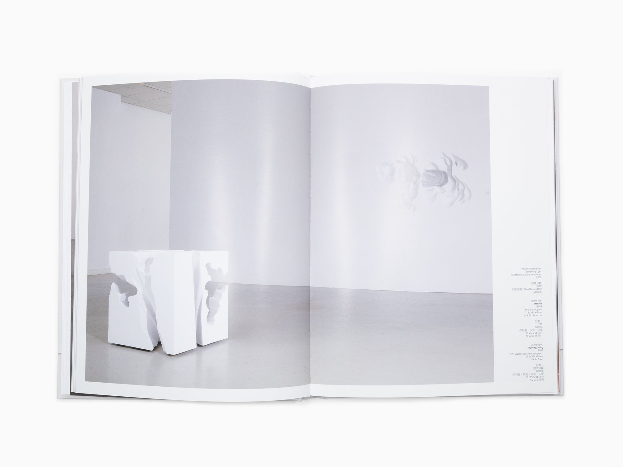 Daniel Arsham - Perrotin Monograph (2)