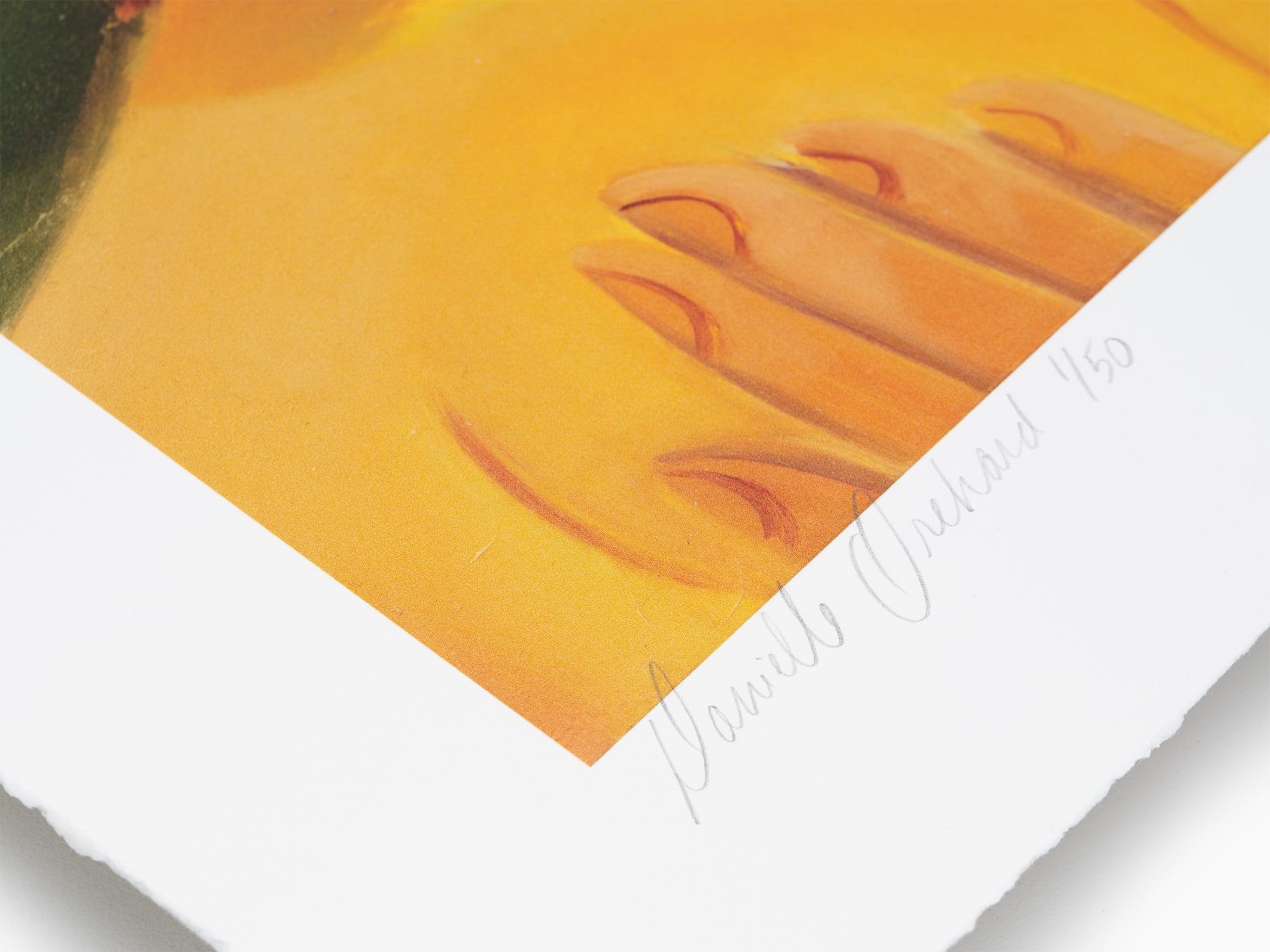 Danielle Orchard - A Warm Garden