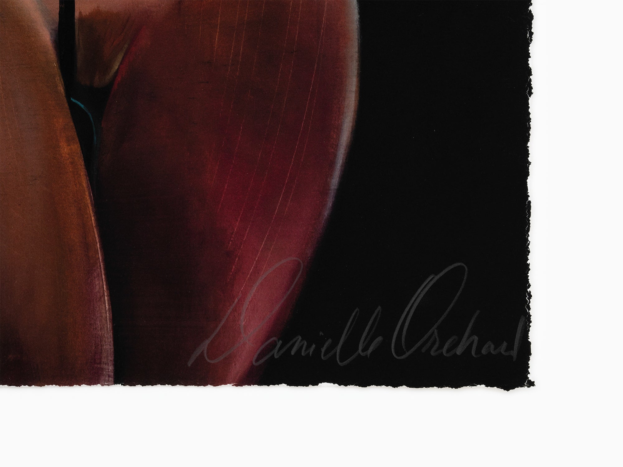 Danielle Orchard - Collants