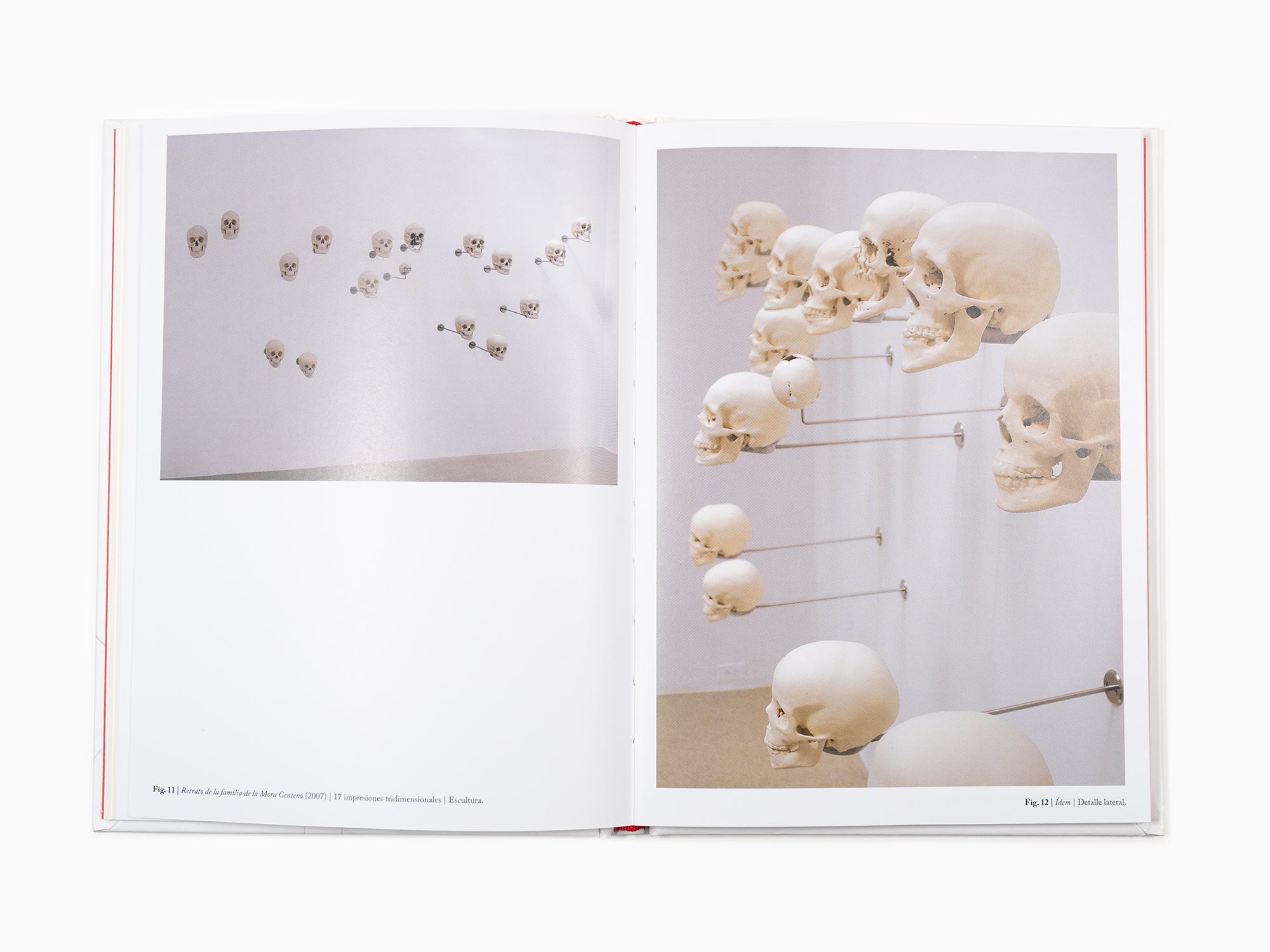 Sergio Rodriguez Blanco & Gabriel de la Mora - Alegorias Capilares