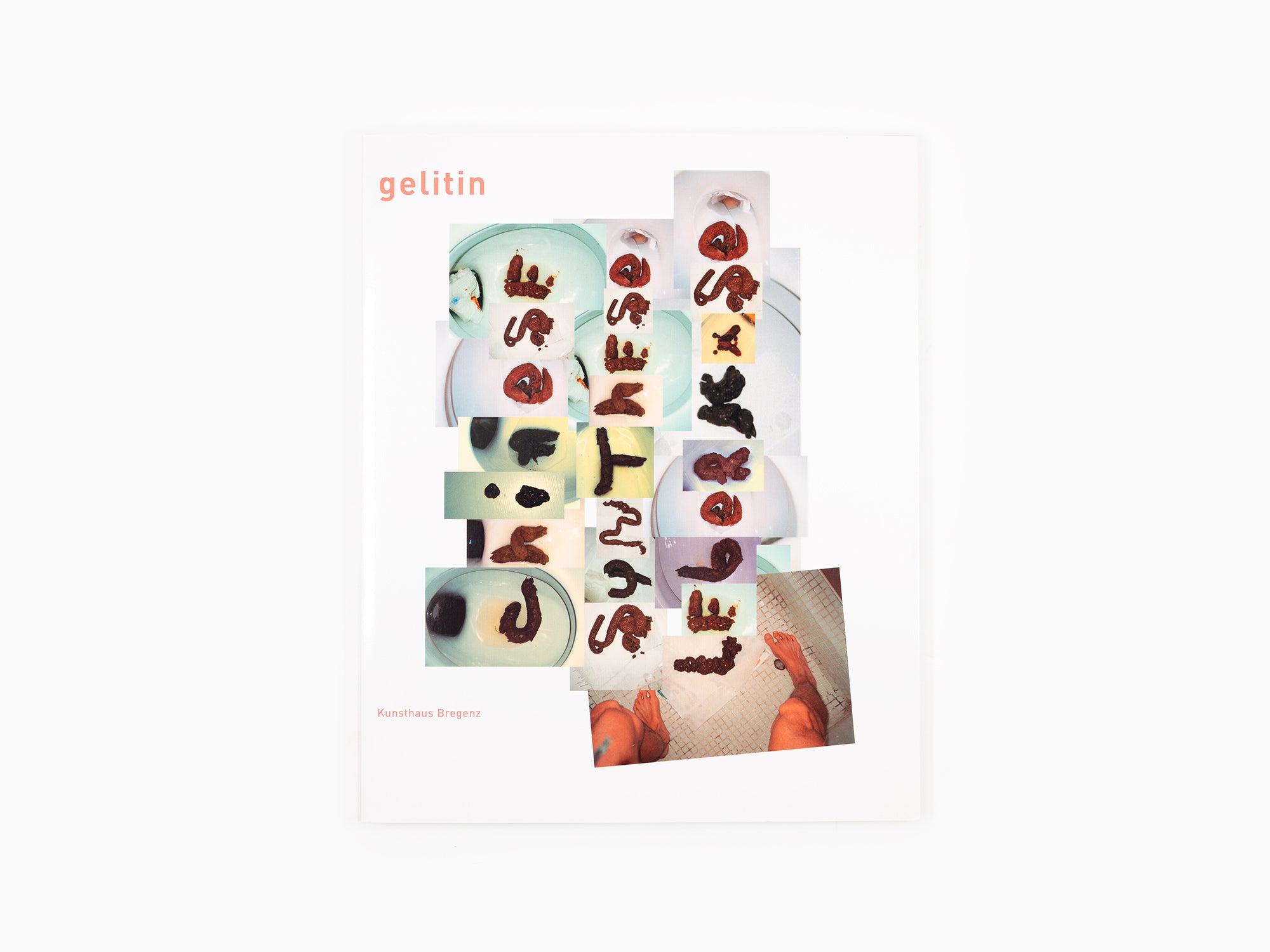 Gelitin - Chinese Synthese Leberkäse