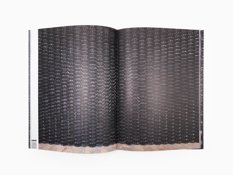 Gregor Hildebrandt - Saarlandmuseum - Sterne Streifen die Flute