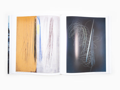 Pierre Wat - Hans Hartung La peinture pour mémoire