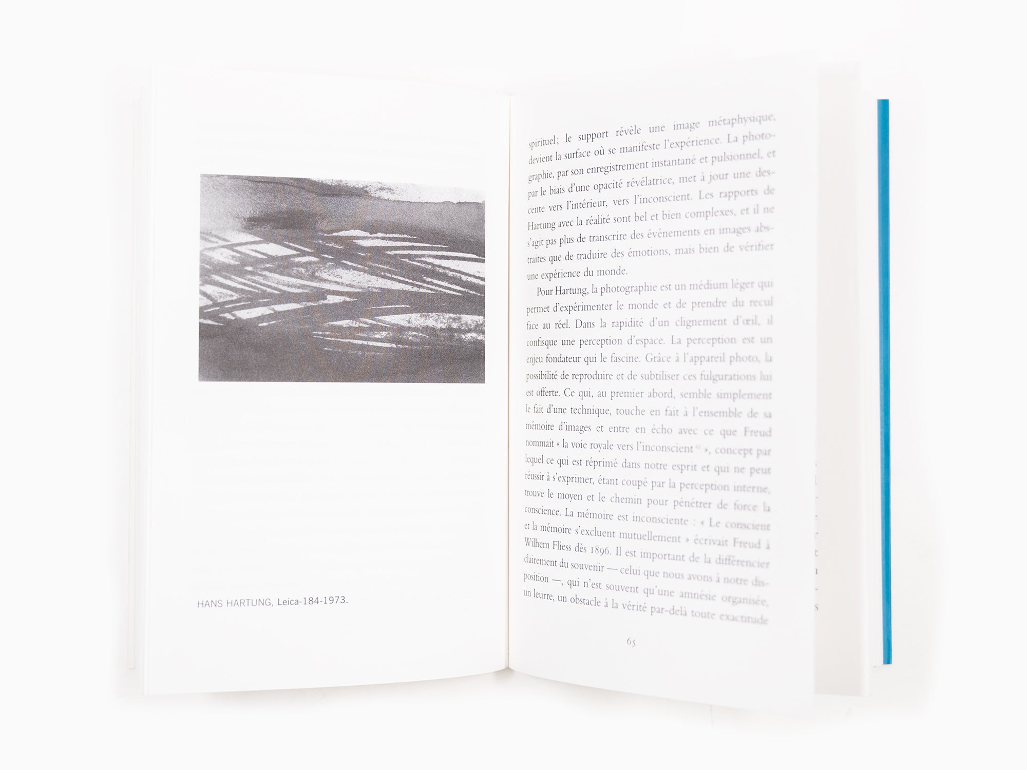 Jacques Damez - Hans Hartung photographe