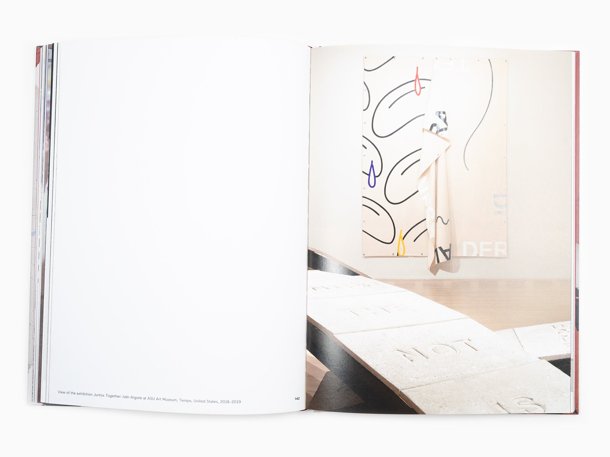 Ivan Argote - Here Together (Perrotin monograph)