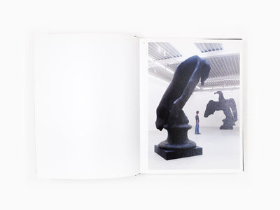 Johan Creten - Perrotin monograph