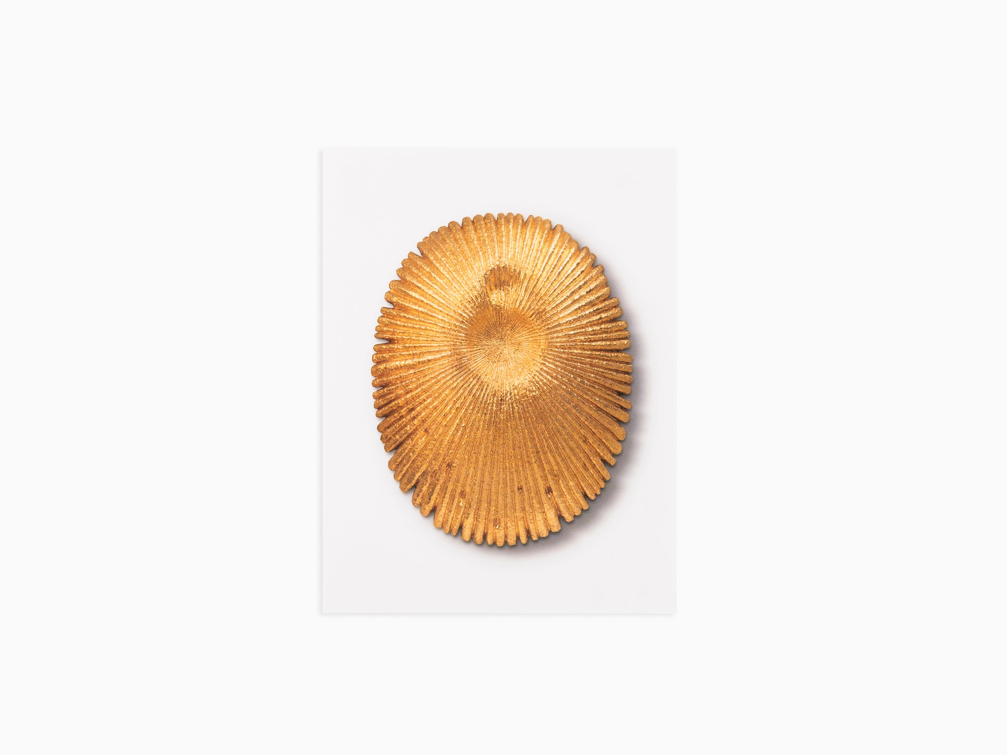 Johan Creten - Postcard Zwam 3, 2019
