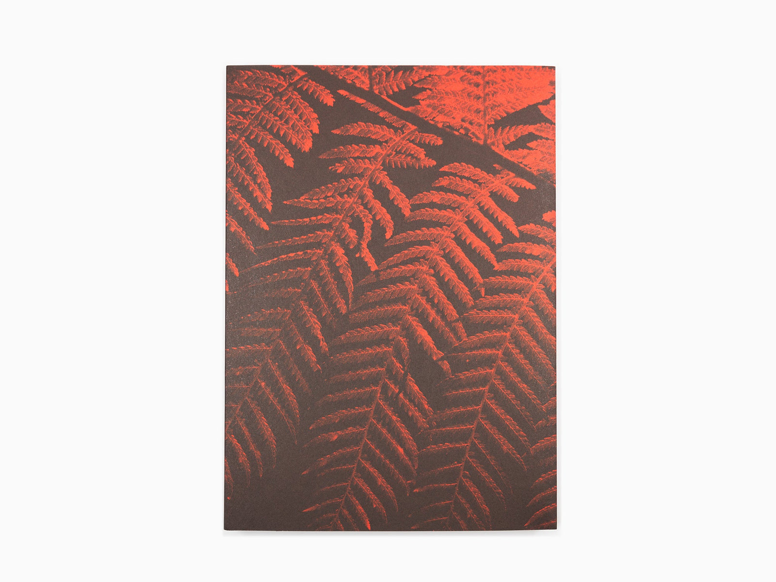 Julian Charrière - Controlled Burn