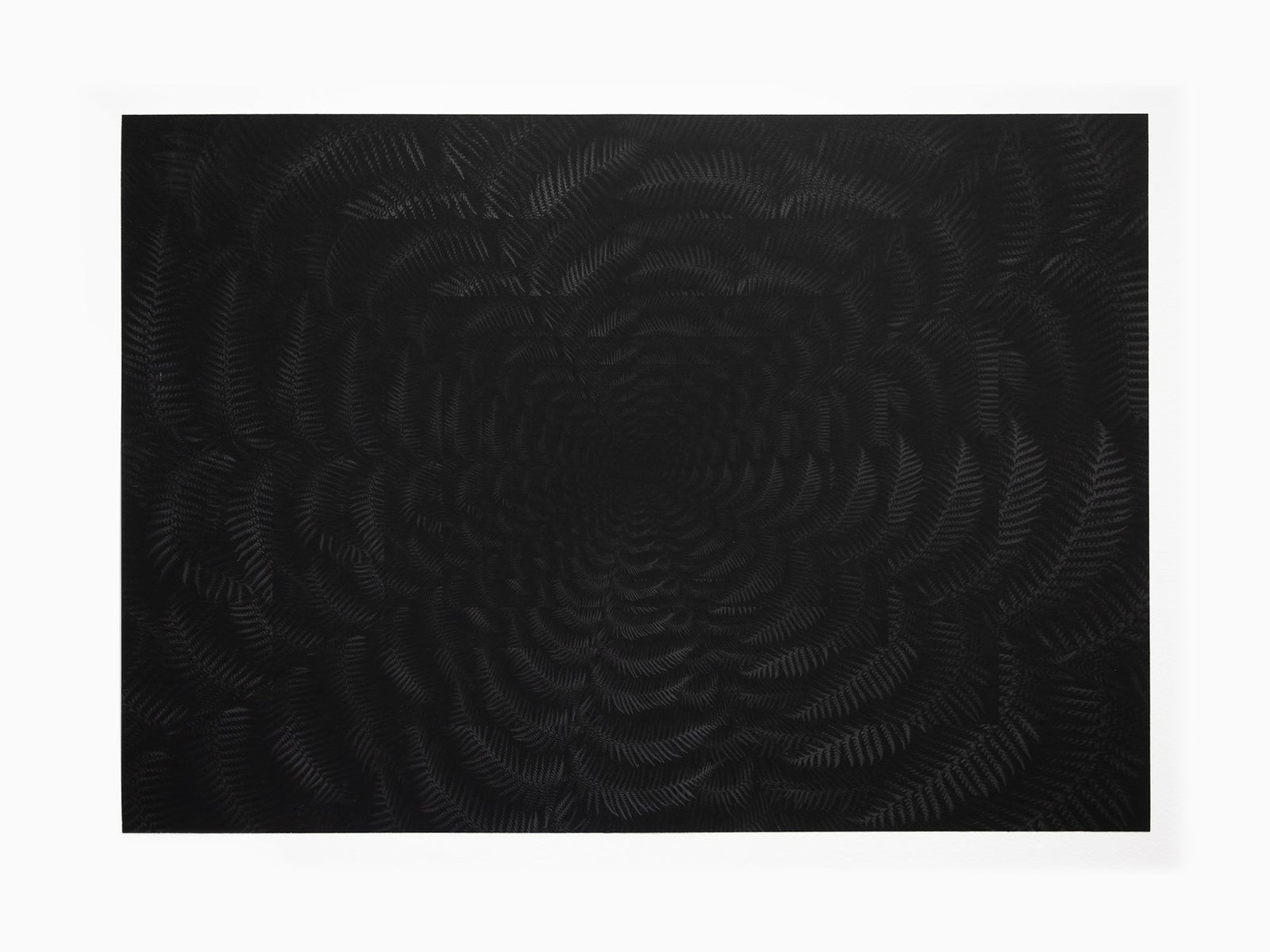 Julian Charrière - Dicksonia Antarctica (edition)