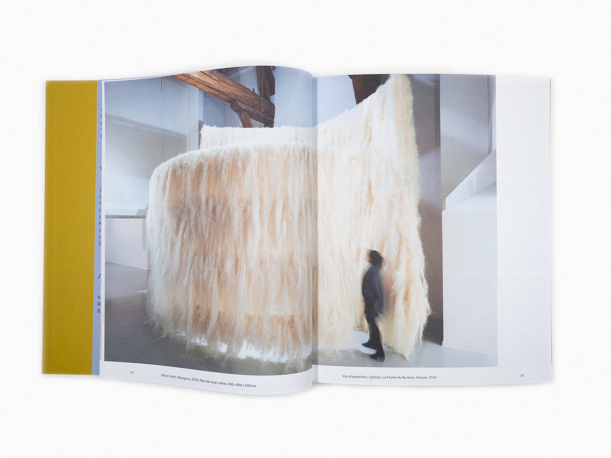 Kapwani Kiwanga - Monographie