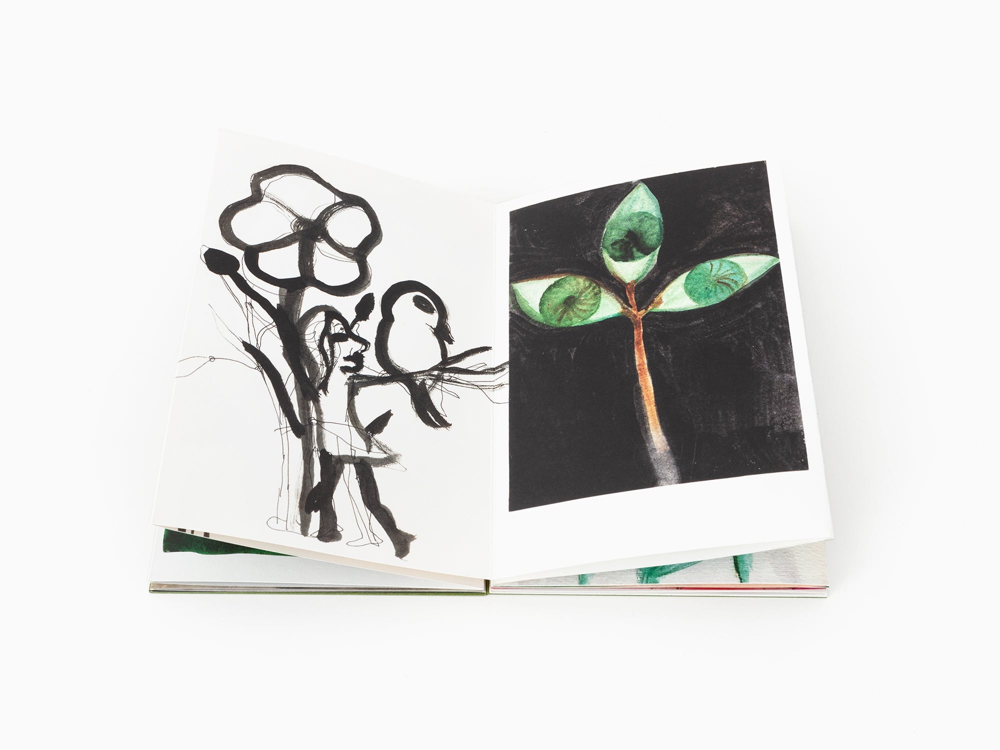 Klara Kristalova - "Beasts and Plants in the 21th Century" Leporello