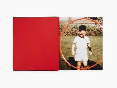 Larry Sultan - Pictures from Home