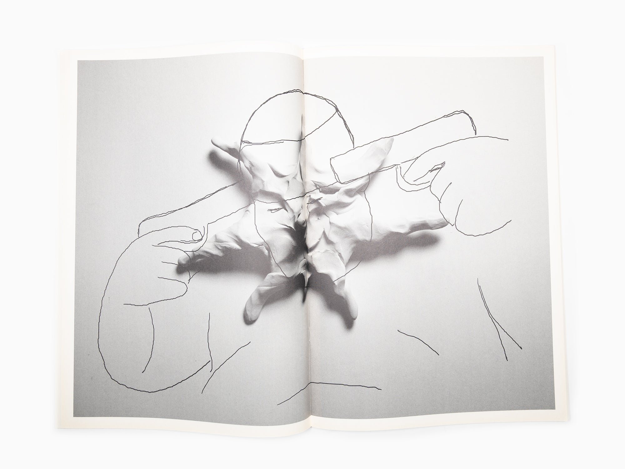 Federico Pepe - What do we regret, where do we fall, what do we lick, when do we lay