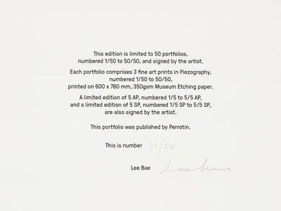 Lee Bae - "Constellation" Portfolio