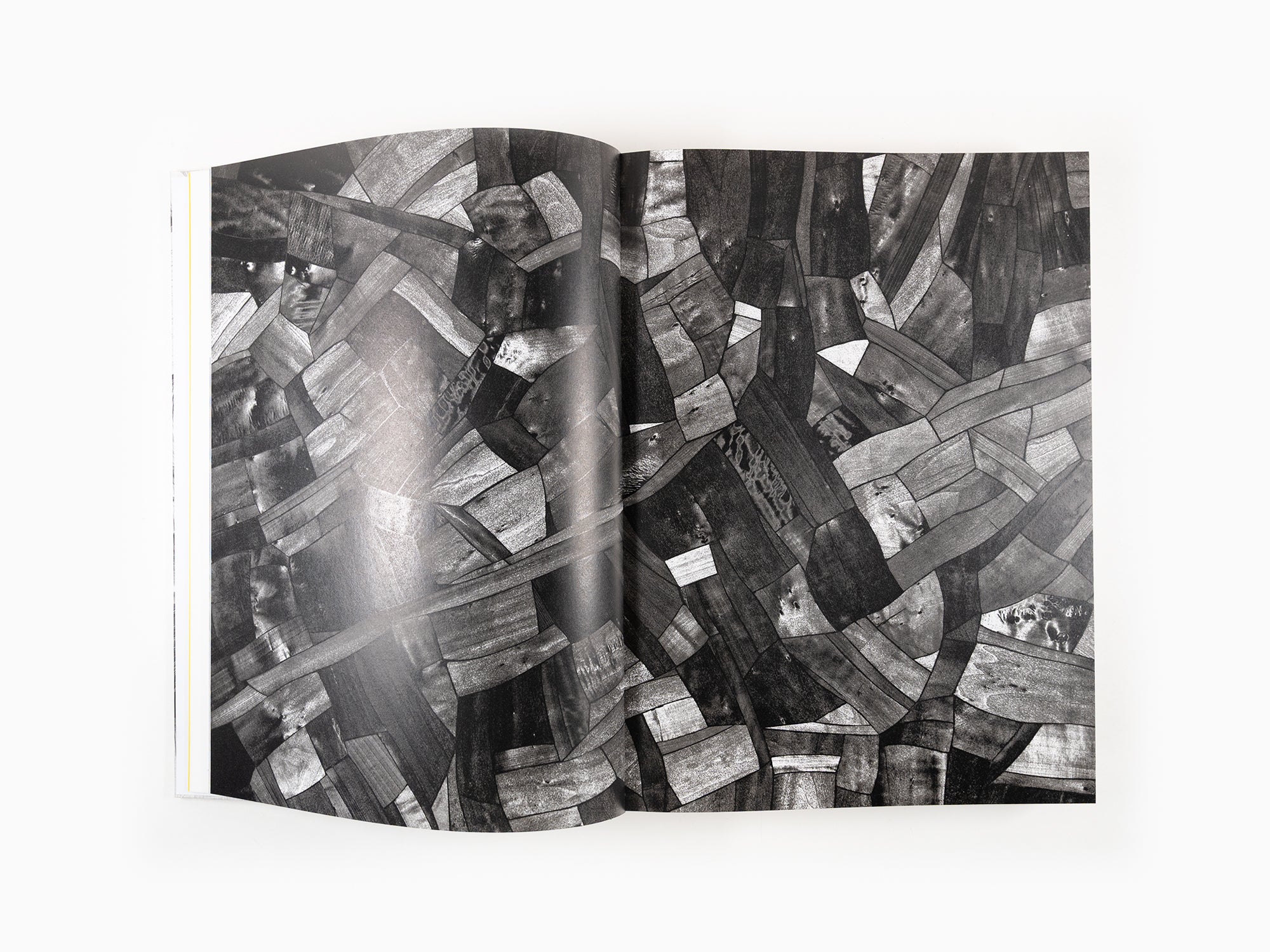Lee Bae - Ultimate Form