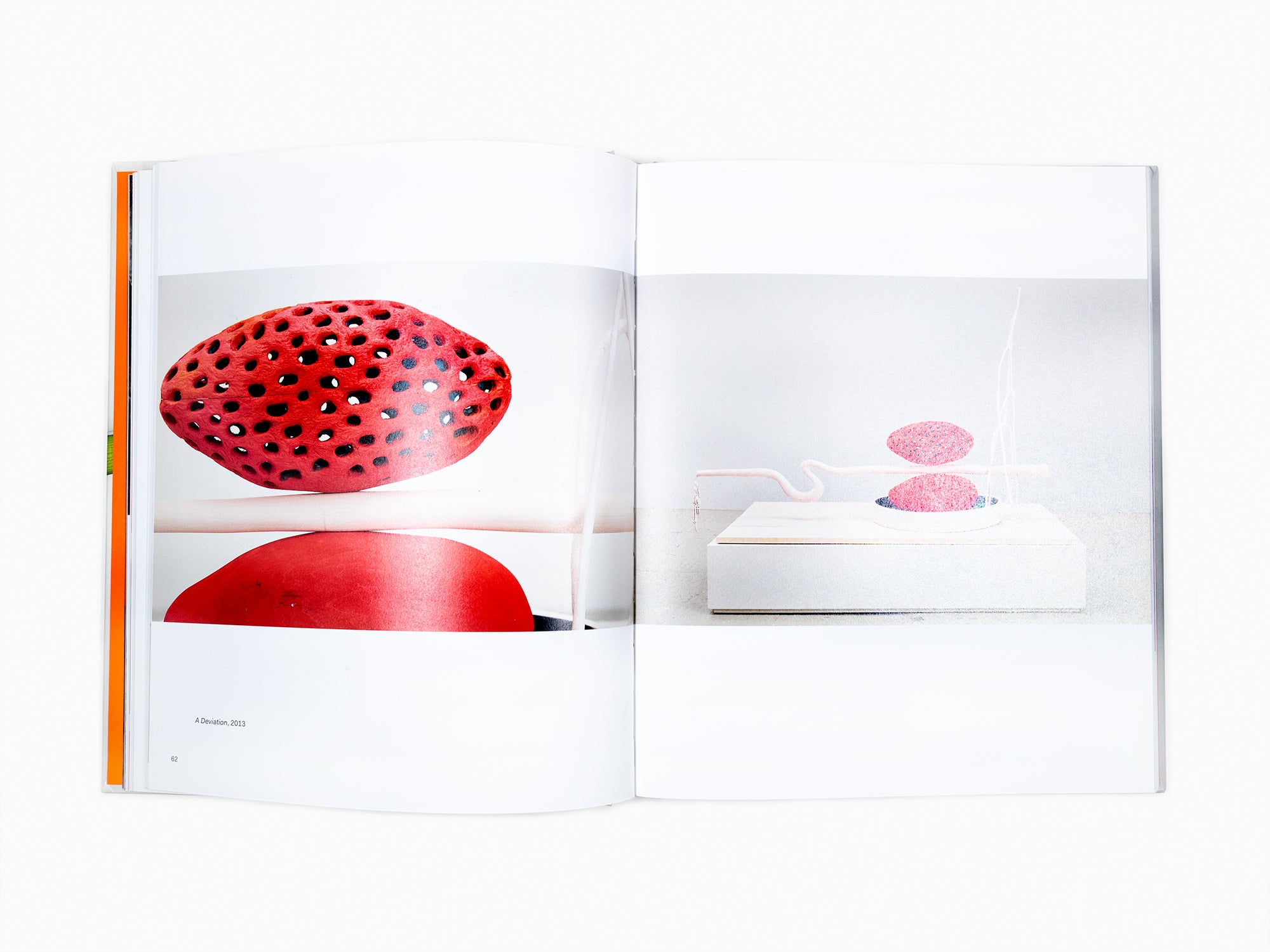 Matthew Ronay - Monograph