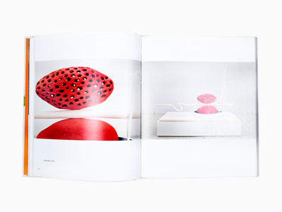 Matthew Ronay - Monograph