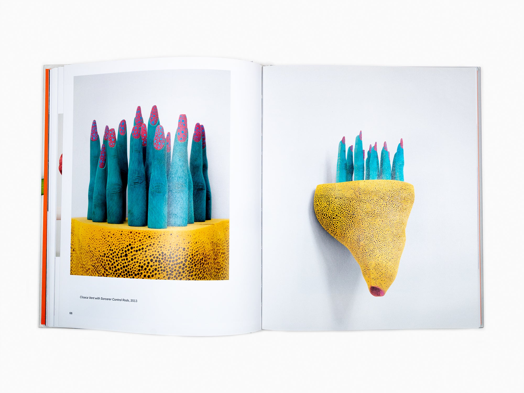 Matthew Ronay - Monograph