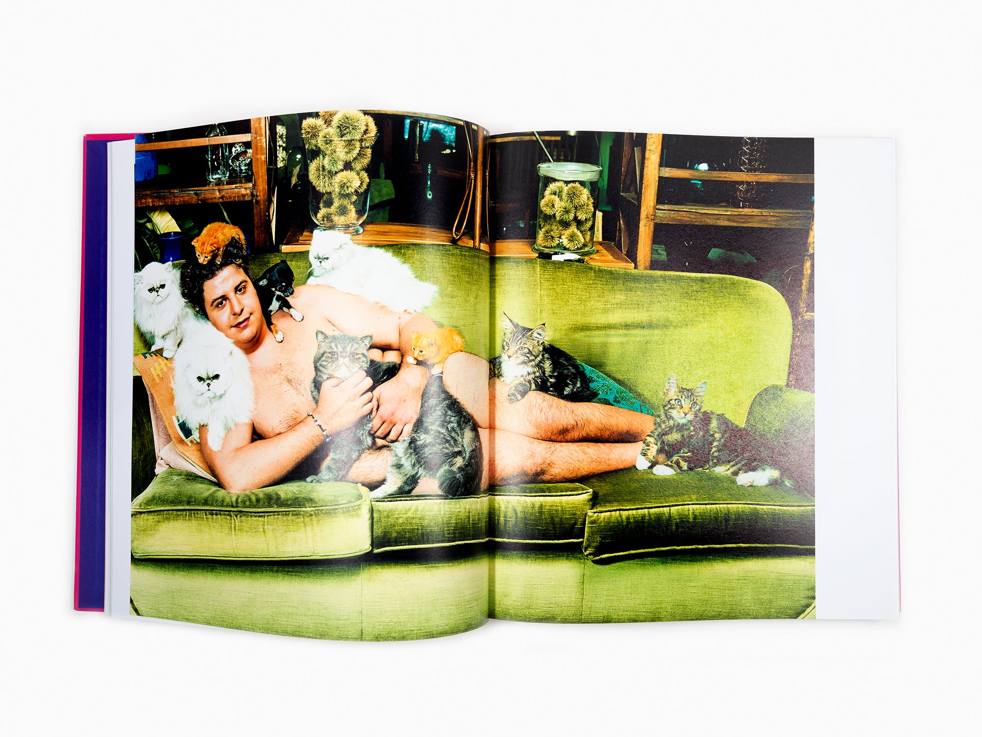 Maurizio Cattelan - Chromotherapia - Feel-Good Color Photography