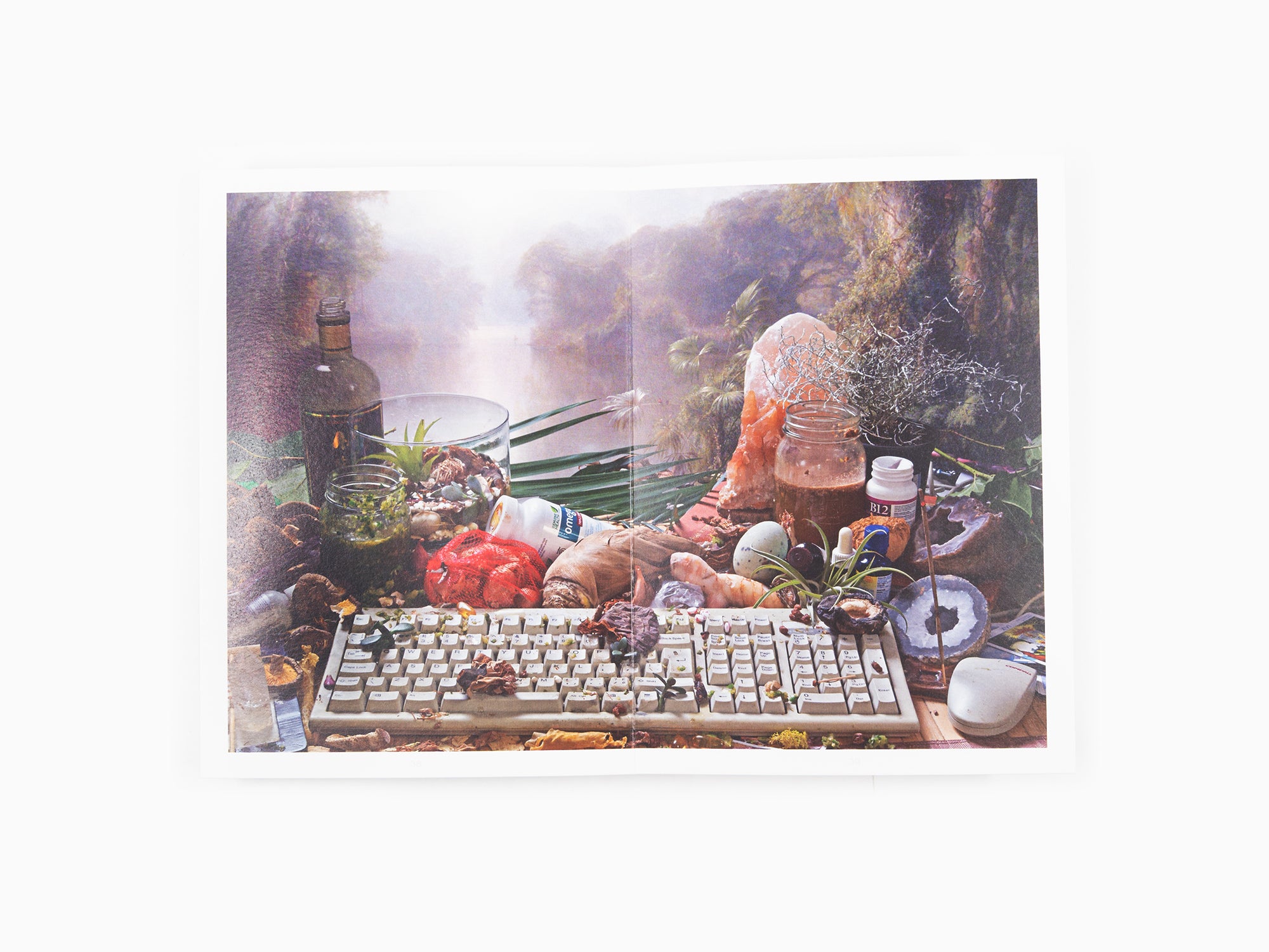 Maurizio Cattelan - Le Dictateur - FAQ