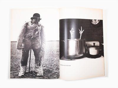 Maurizio Cattelan - Le Dictateur 01